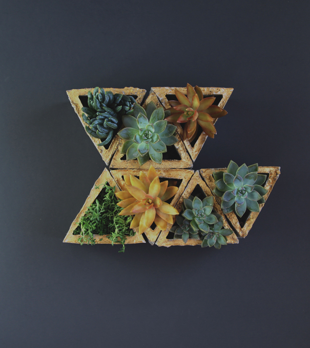 modular-succulent-planter