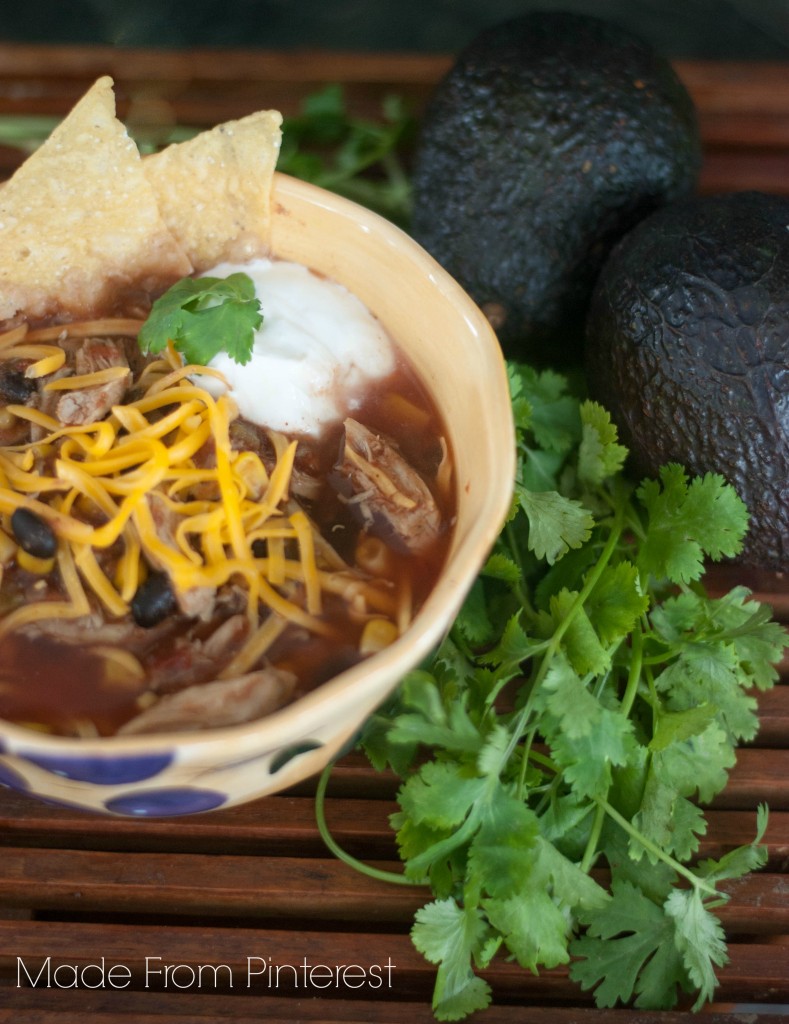 Make this soup as mild or as spicy as you like it. Spicy Chicken Tortilla Soup won't disappoint